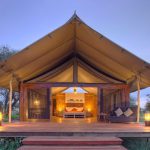1669969129_37_Tarangire-Ndovu-1