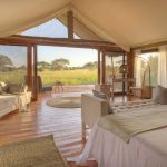 1669969277_80_Tarangire-Ndovu-3