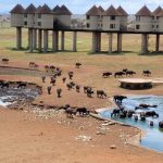 Saltlick lodges tsavo