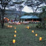 bushdinner