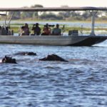 Lake Naivsha Boat Ride