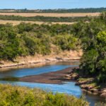 Mara River infront of Camp