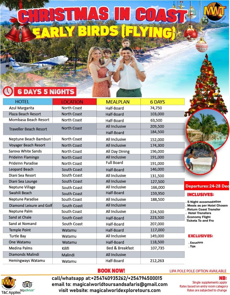 Christmas festive deals flying