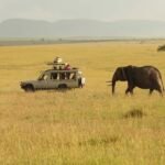 Sarova Mara Game Camp - Game drive 18