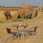 ele sundowner 4