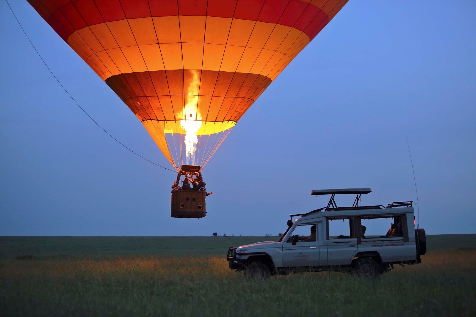 7days safari