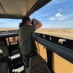 maasai mara