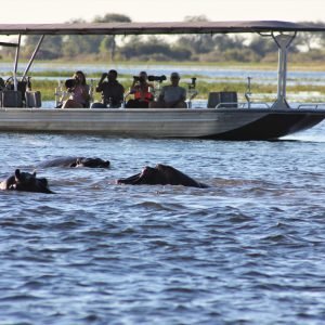 Lake Naivsha Boat Ride