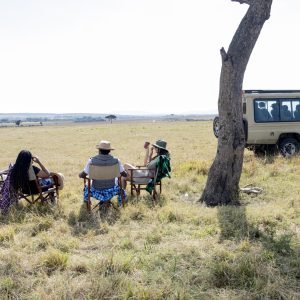 Picnic