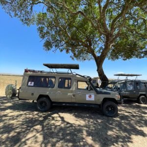 Maasai mara picnic