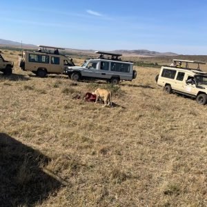 maasai mara