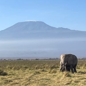 Amboseli